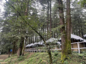 Himtrek Camps Mcleodganj
